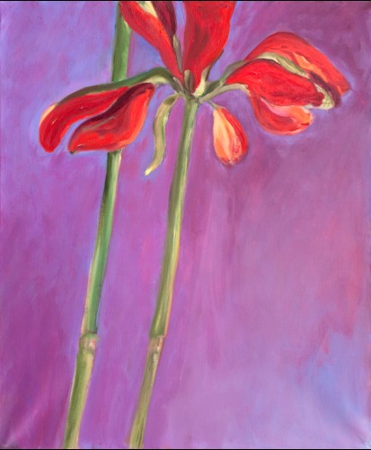 Amarilys II - 54x65 cm