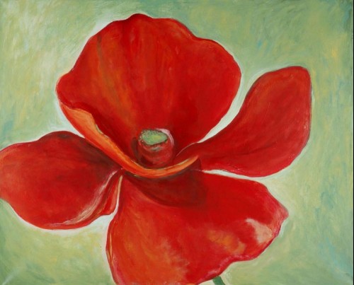 Pavot I - 81x100 cm